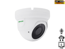 IP    1/3" Galaxycore 4MP